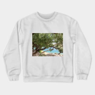 Mediterranean Sea Coast with Olive Tree Photo Crewneck Sweatshirt